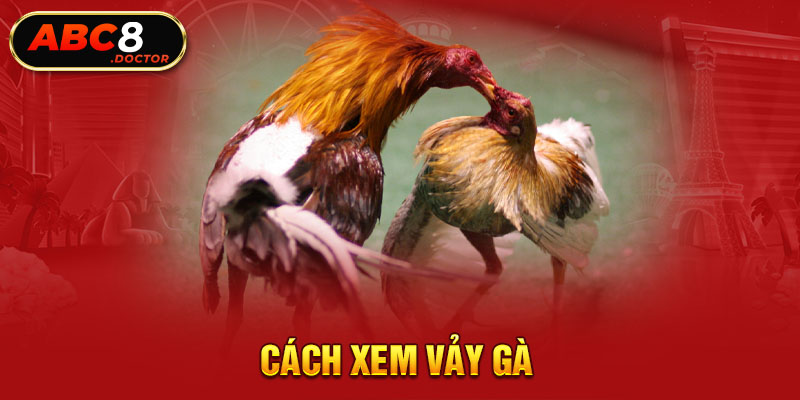 Cách xem vảy gà 