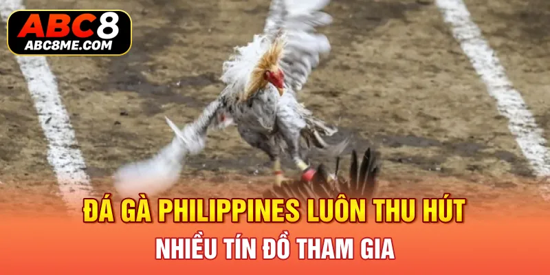 Sảnh SV388 Tại ABC8 - Thiên Đường Giải Trí Có 1 Không 2 Đá gà Philippines luôn thu hút nhiều tín đồ tham gia