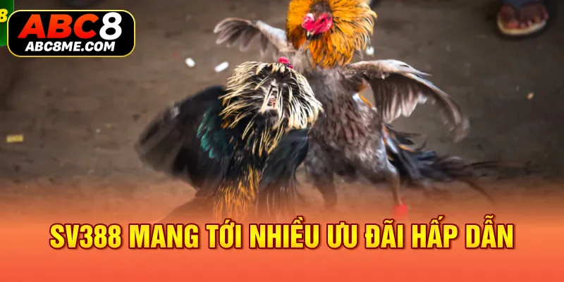Sảnh SV388 Tại ABC8 - Thiên Đường Giải Trí Có 1 Không 2 SV388 mang tới nhiều ưu đãi hấp dẫn